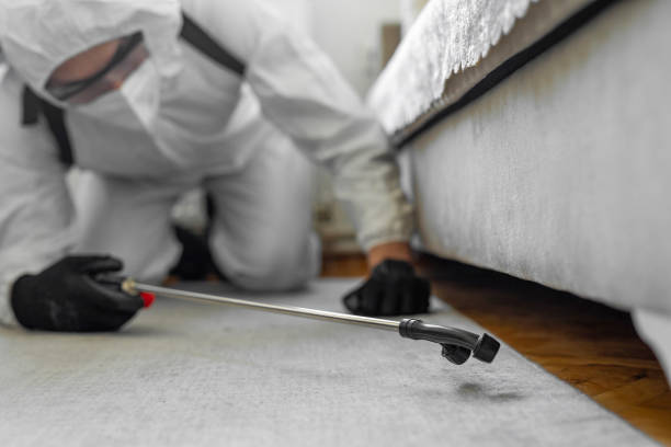 Professional Cockroach Control technician working in Lawson, MO